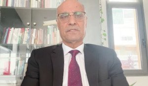 Kurdish–Arab Relations Beyond the Narrative of Conflict