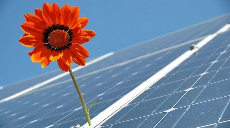 IEA: Economic Weaponizing Of Clean Energy Trade