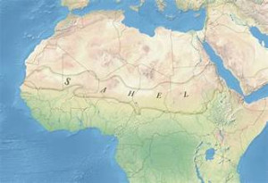 The Sahel Between Militarization and Personalized Rule: Are Coups Becoming Permanent Political Systems?