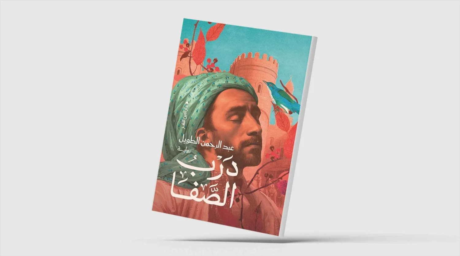 حكاية الفسطاط في العصر الأيوبي حكاية الفسطاط في العصر الأيوبي
